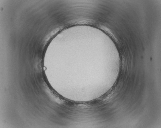 X0000069390394200606091722