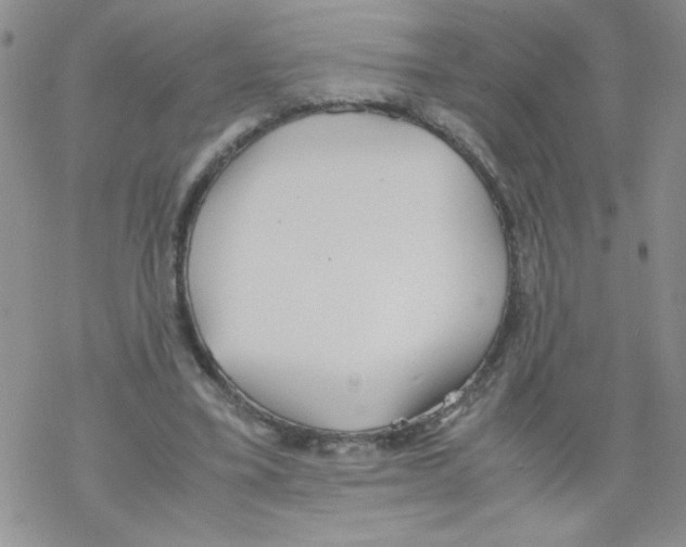 X0000069390395200606091722