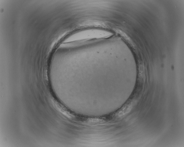 X0000069390399200606091722