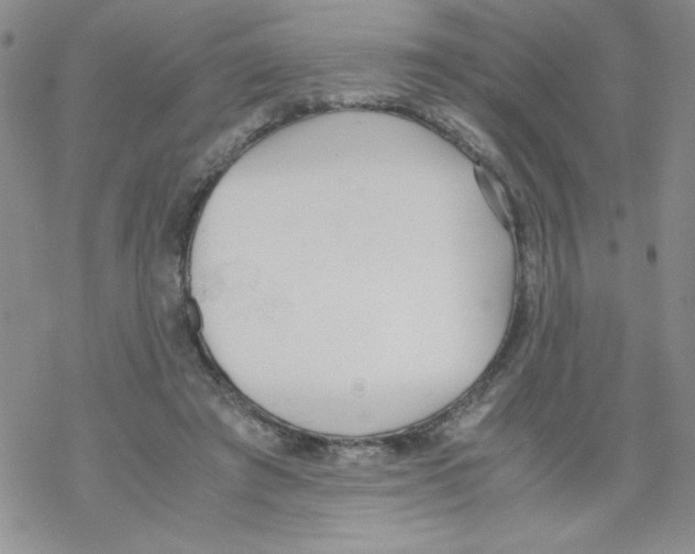 X0000069390401200606091722