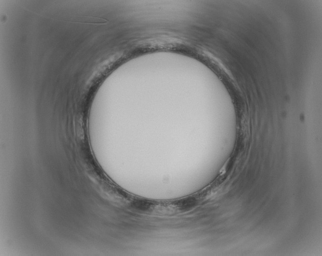 X0000069390403200606091722