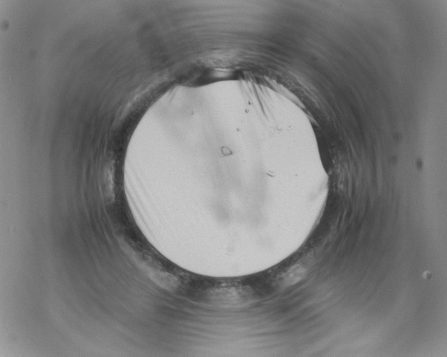 X0000069390404200606091722