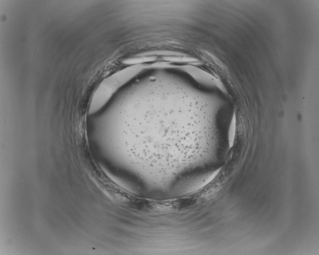 X0000069390405200606091722