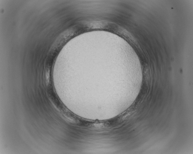 X0000069390406200606091722