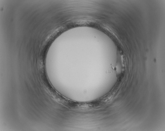 X0000069390407200606091721