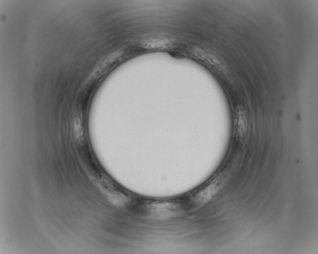 X0000069390408200606091721