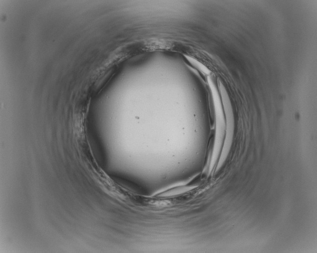 X0000069390409200606091721