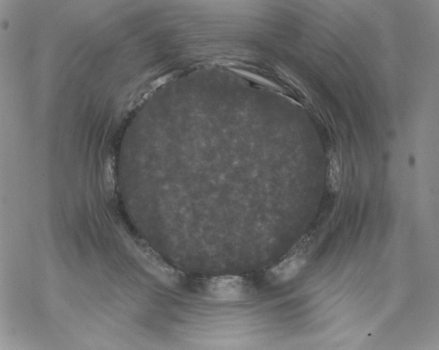 X0000069390410200606091721