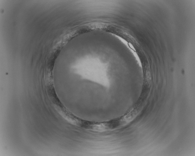 X0000069390411200606091721