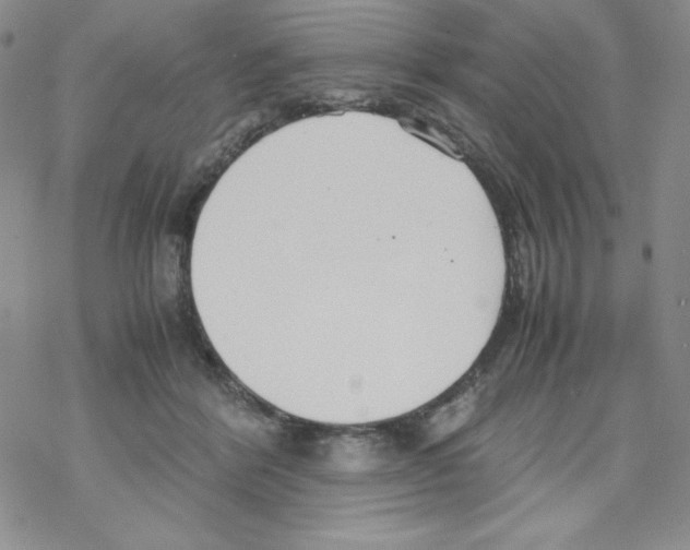 X0000069390412200606091721