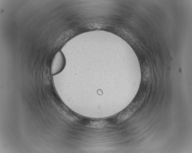 X0000069390414200606091721