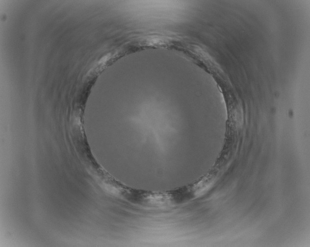 X0000069390415200606091721