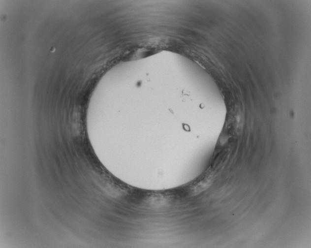 X0000069390416200606091721