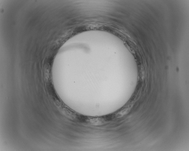 X0000069390417200606091721