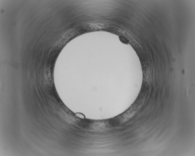 X0000069390418200606091721