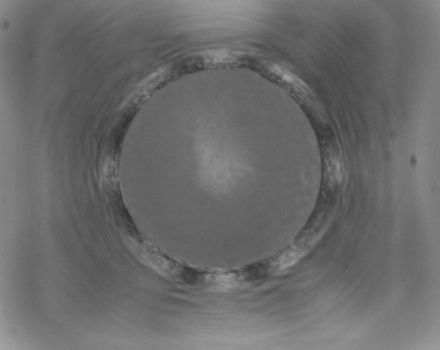 X0000069390419200606091721