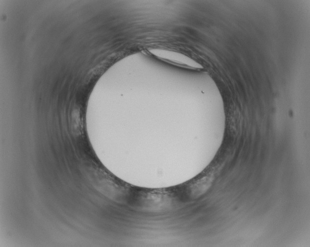 X0000069390420200606091721