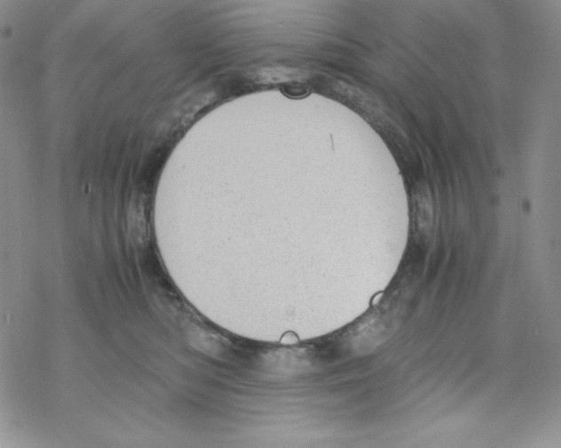 X0000069390422200606091721