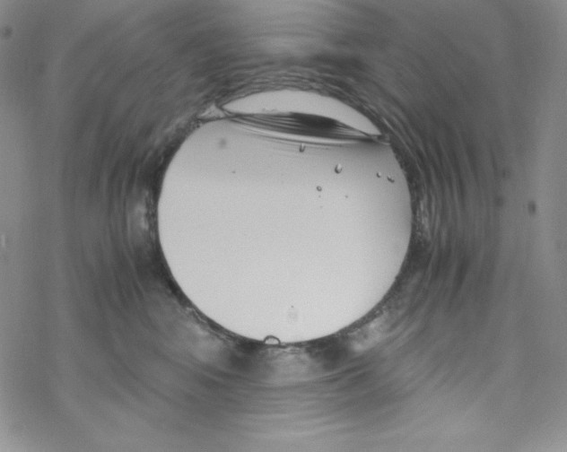 X0000069390424200606091721