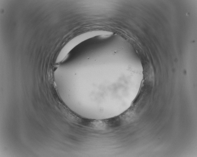 X0000069390425200606091721