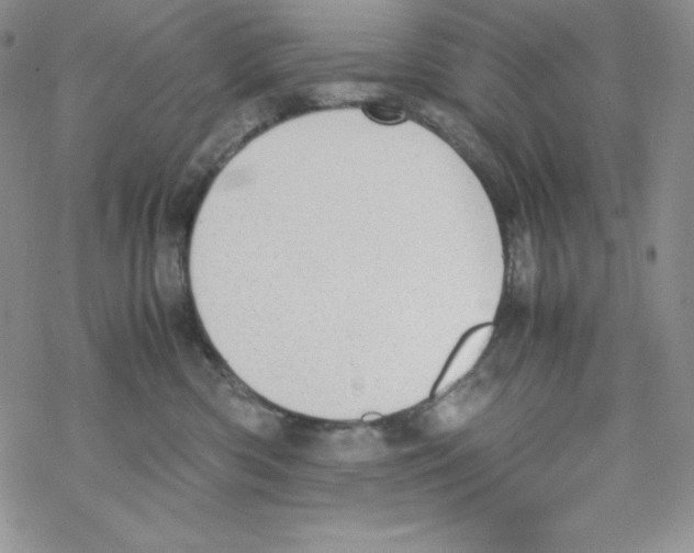 X0000069390426200606091721