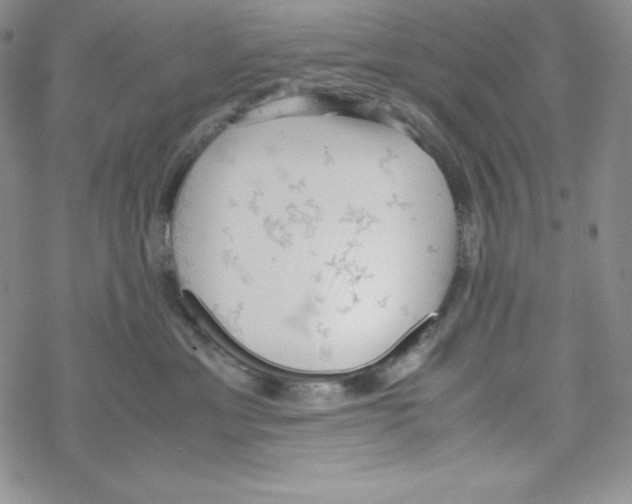 X0000069390429200606091721