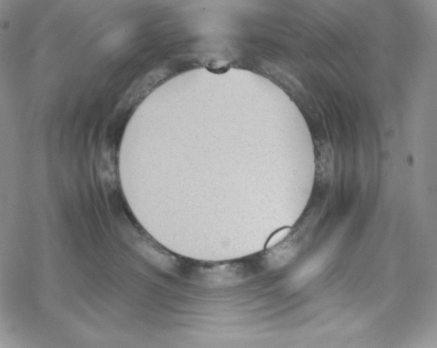 X0000069390430200606091721