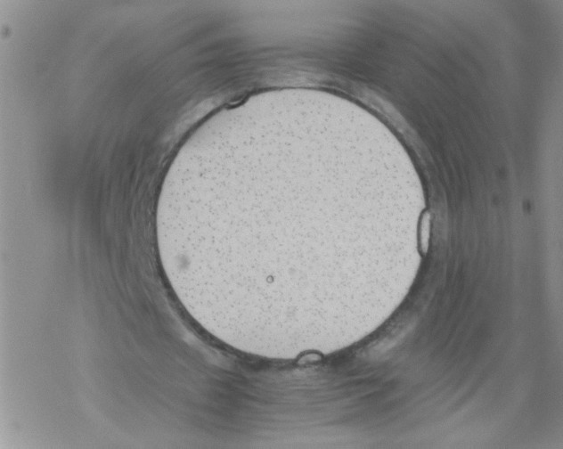 X0000069390433200606091720