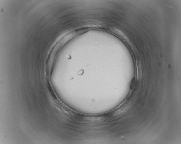 X0000069390435200606091720