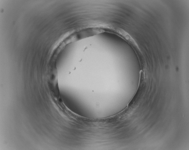 X0000069390436200606091720