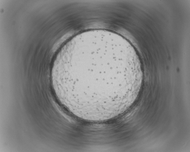 X0000069390437200606091720