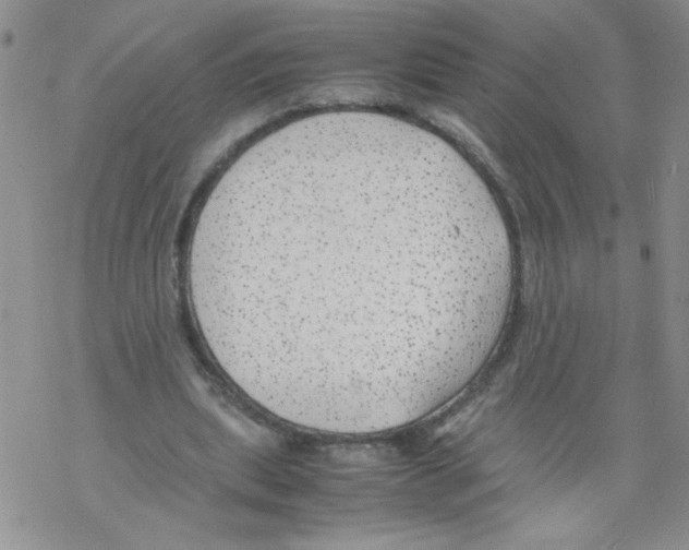 X0000069390439200606091720