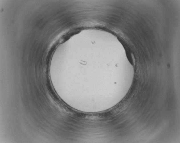 X0000069390440200606091720