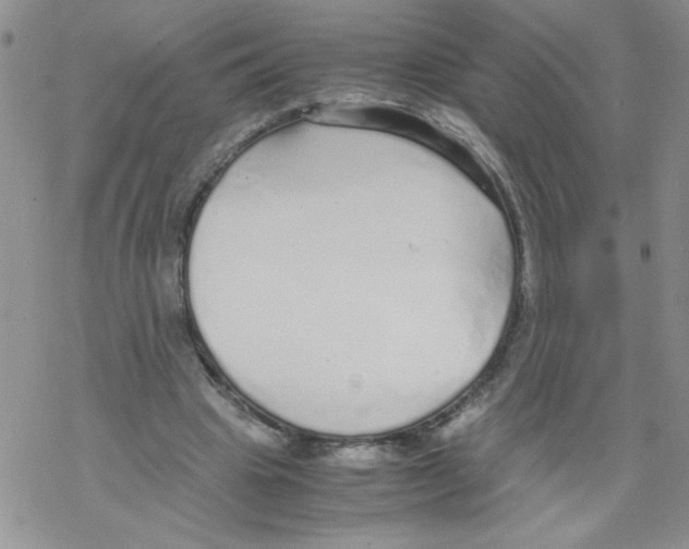 X0000069390441200606091720