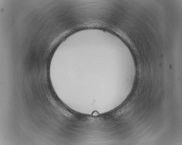 X0000069390442200606091720