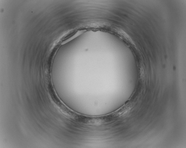 X0000069390444200606091720