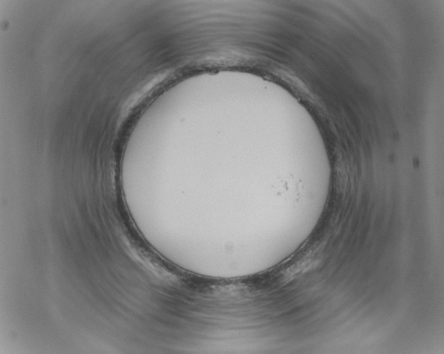 X0000069390446200606091721