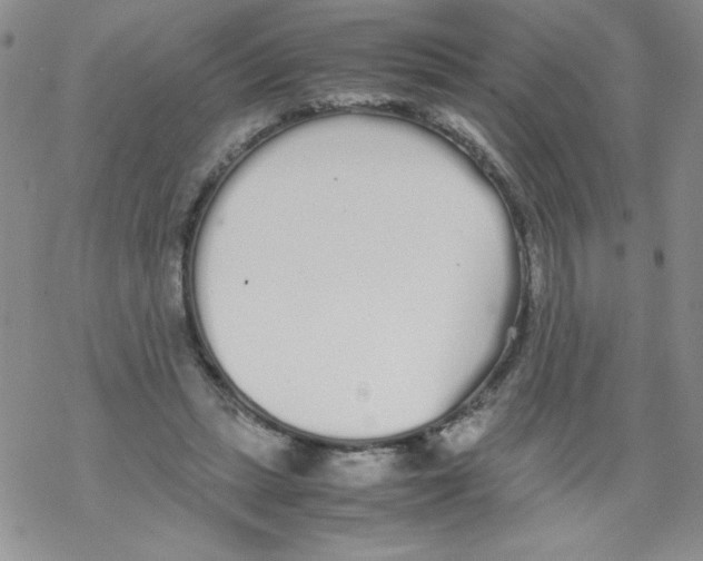 X0000069390447200606091721