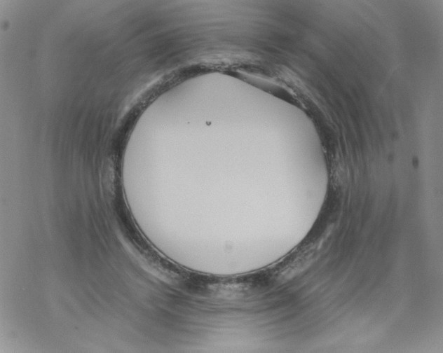 X0000069390448200606091721