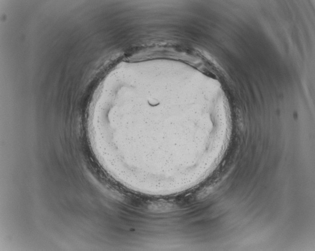 X0000069390451200606091721