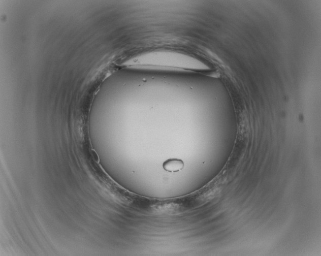 X0000069390452200606091721