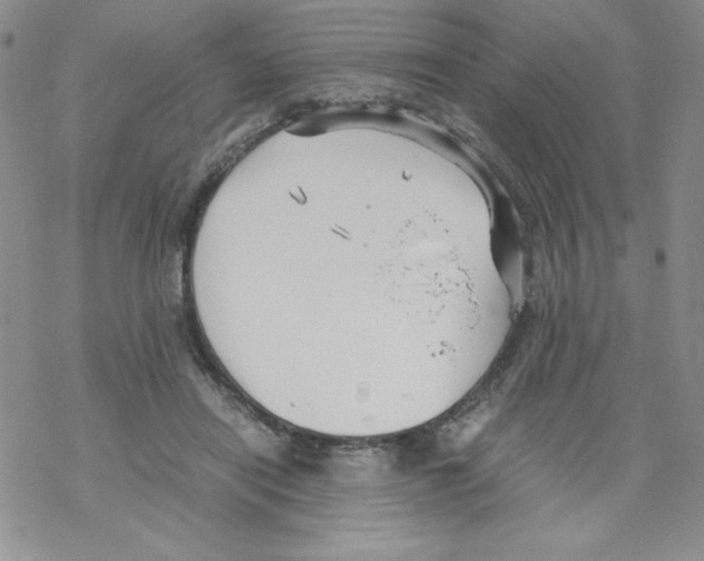 X0000069390454200606091721