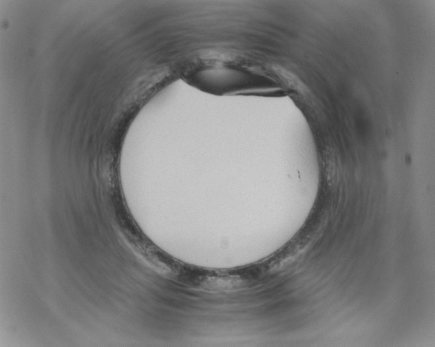 X0000069390455200606091721