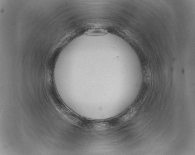 X0000069390456200606091721