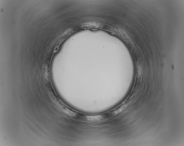 X0000069390457200606091721