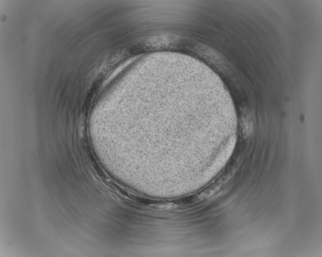 X0000069390458200606091721