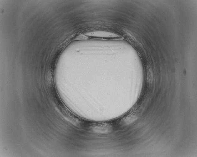 X0000069390459200606091721