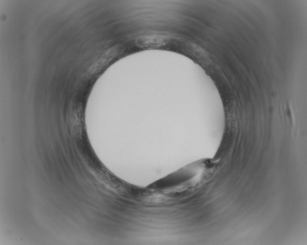 X0000069390460200606091721