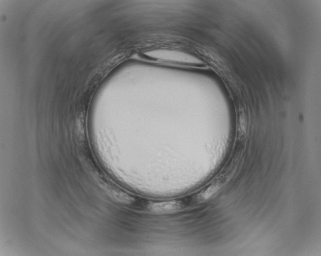 X0000069390461200606091721