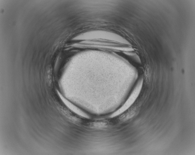 X0000069390462200606091721